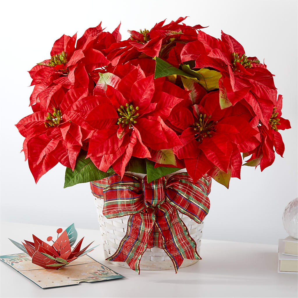 Happiest Holidays Poinsettia and Lovepop Card – Luxe Arrangements, Agawam MA