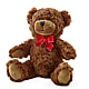 Adorable Plush Bear – Luxe Arrangements, Agawam MA