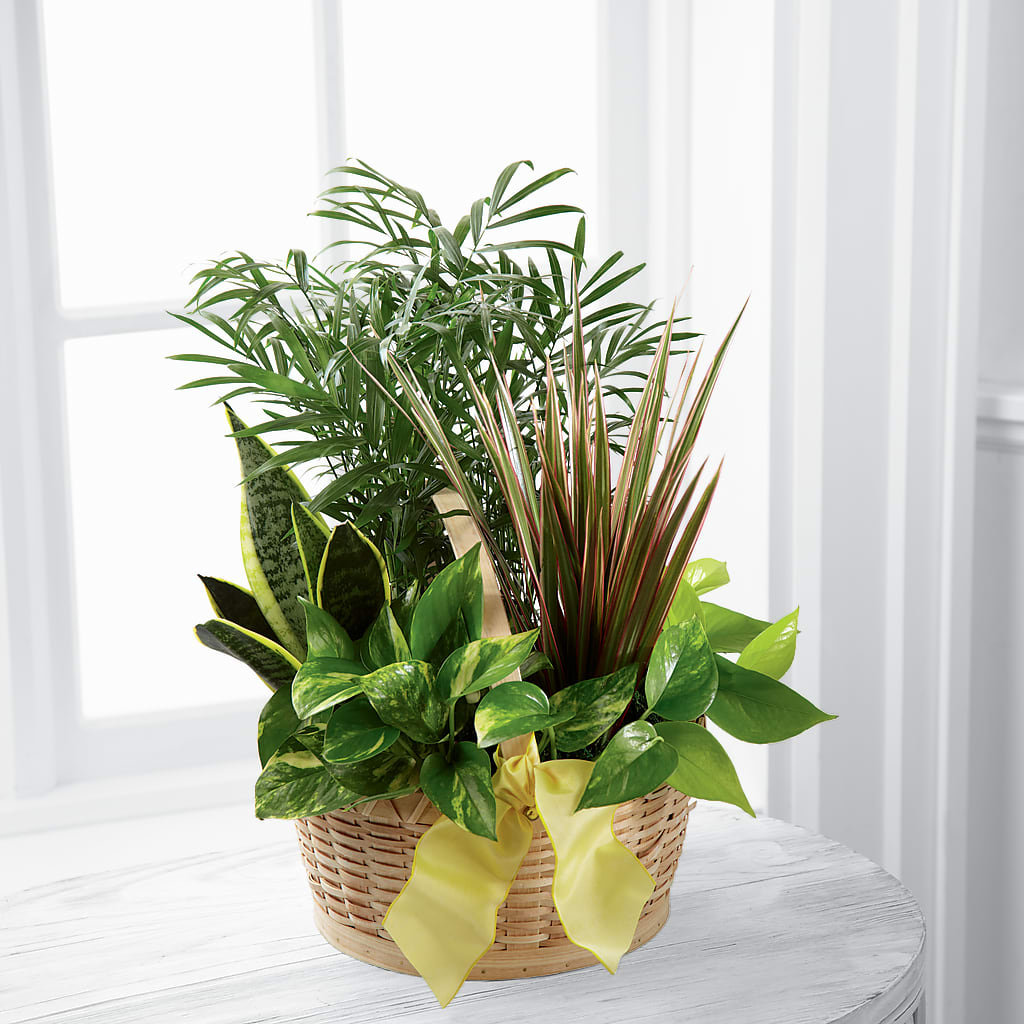 French Garden – Luxe Arrangements, Agawam MA