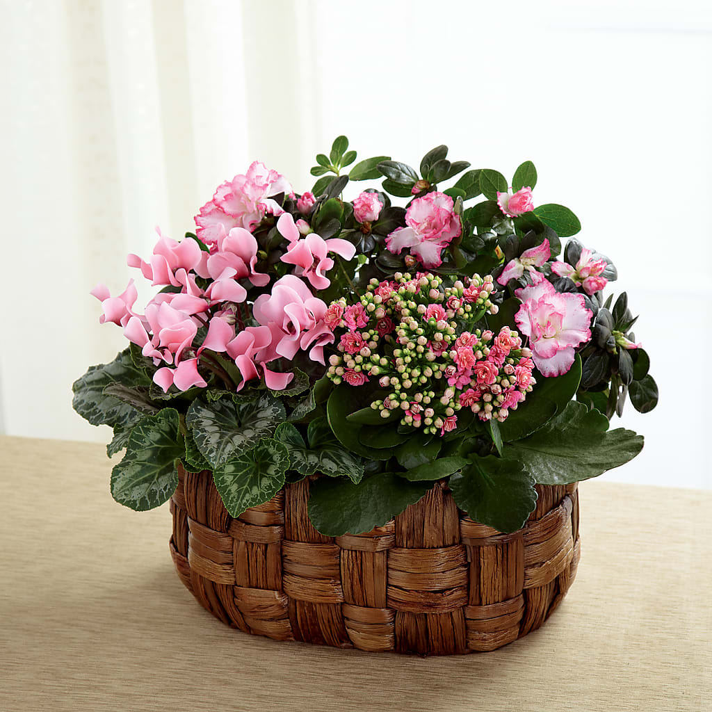 Pink Assortment – Luxe Arrangements, Agawam MA