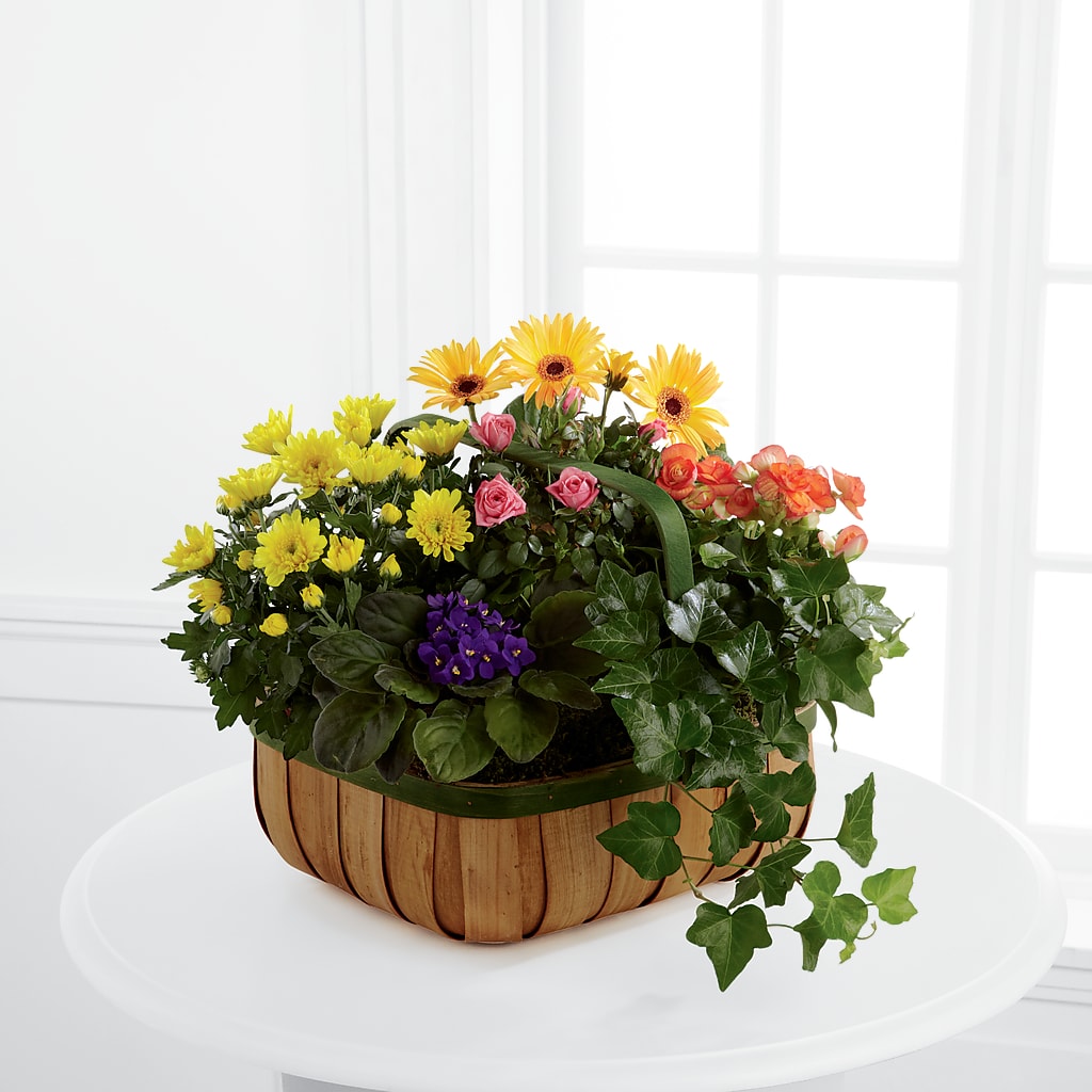 Gentle Blossoms Basket – Luxe Arrangements, Agawam MA