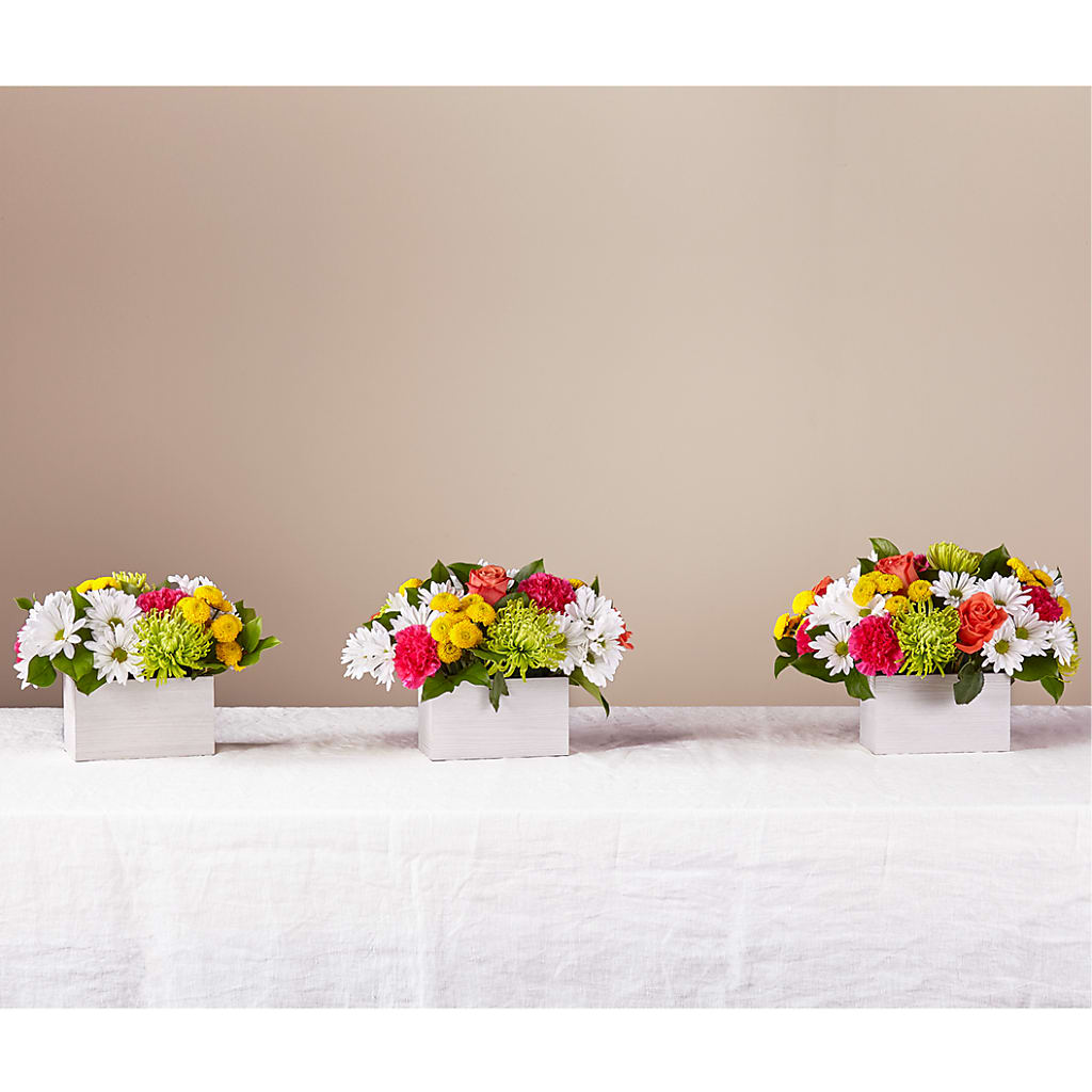 Sorbet Bouquet – Luxe Arrangements, Agawam MA