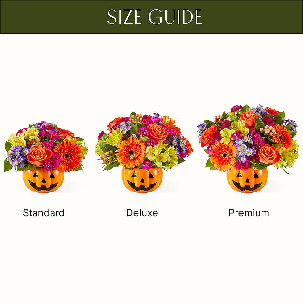Tricks & Treats Pumpkin – Luxe Arrangements, Agawam MA