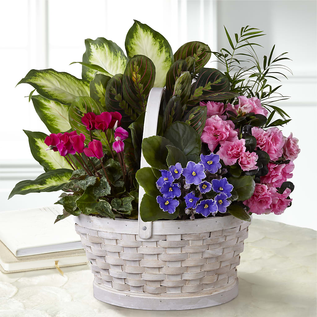 Peaceful Garden Planter – Luxe Arrangements, Agawam MA
