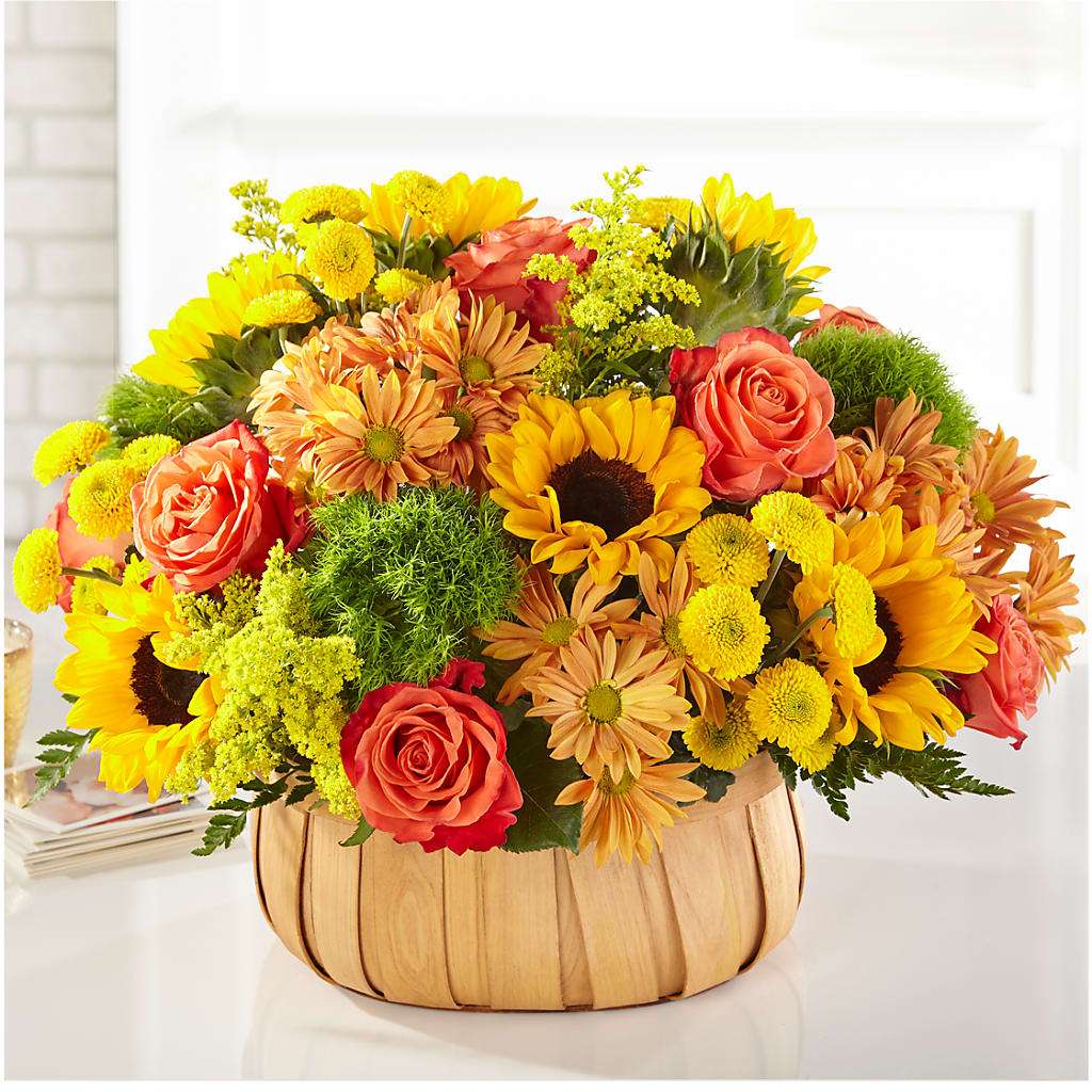 Harvest Sunflower Basket – Luxe Arrangements, Agawam MA