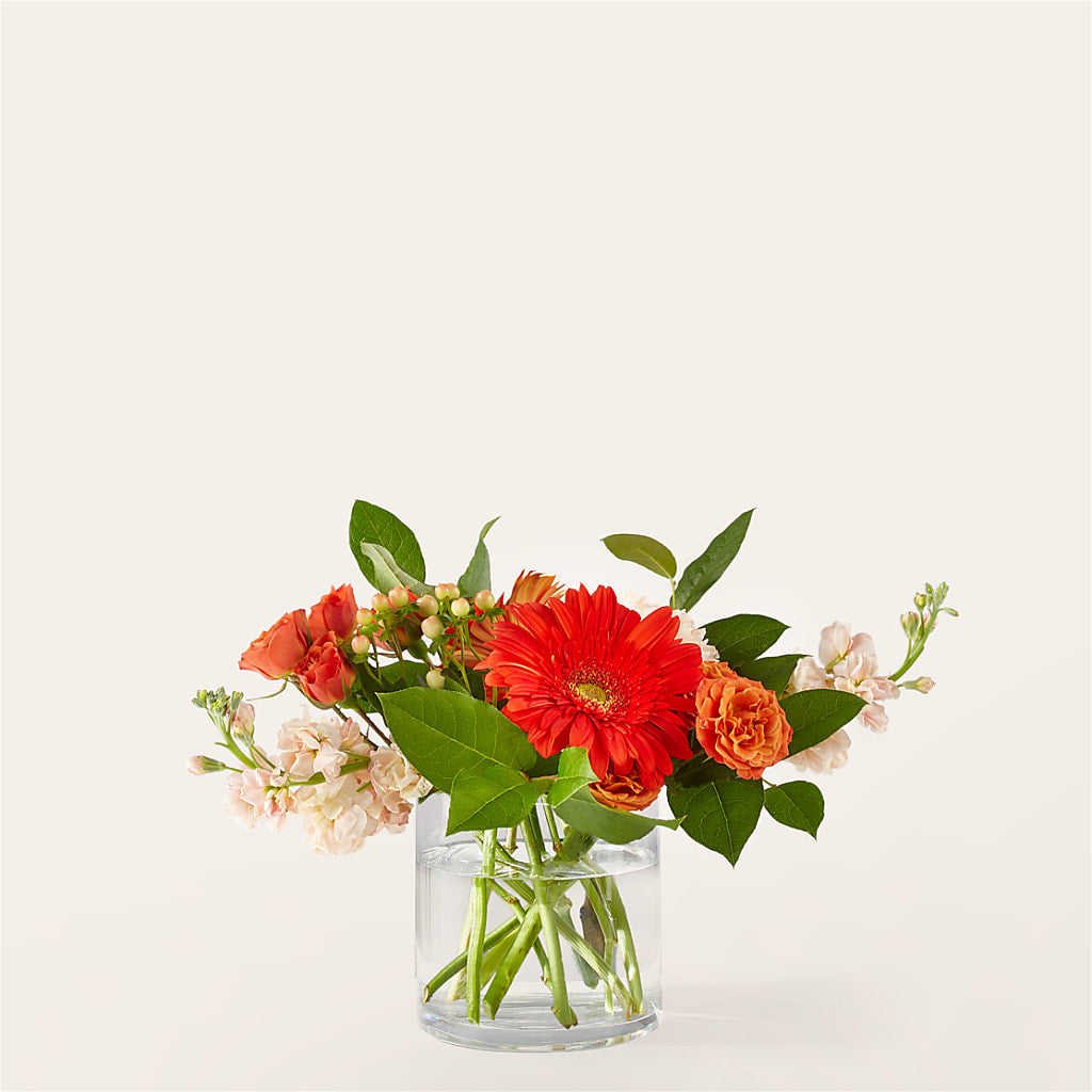 Paloma Please Bouquet – Luxe Arrangements, Agawam MA