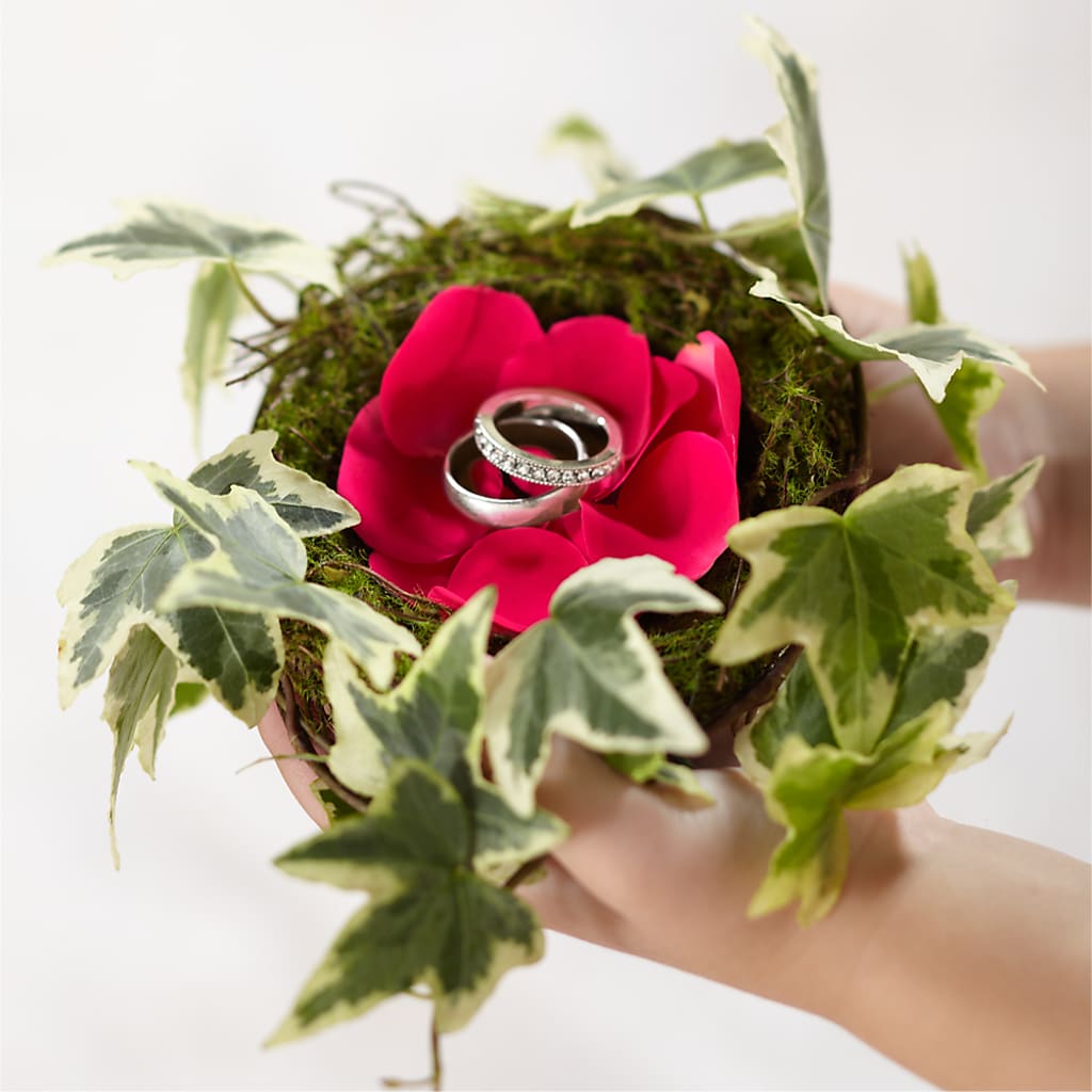 Lila Rose Ring Nest – Luxe Arrangements, Agawam MA