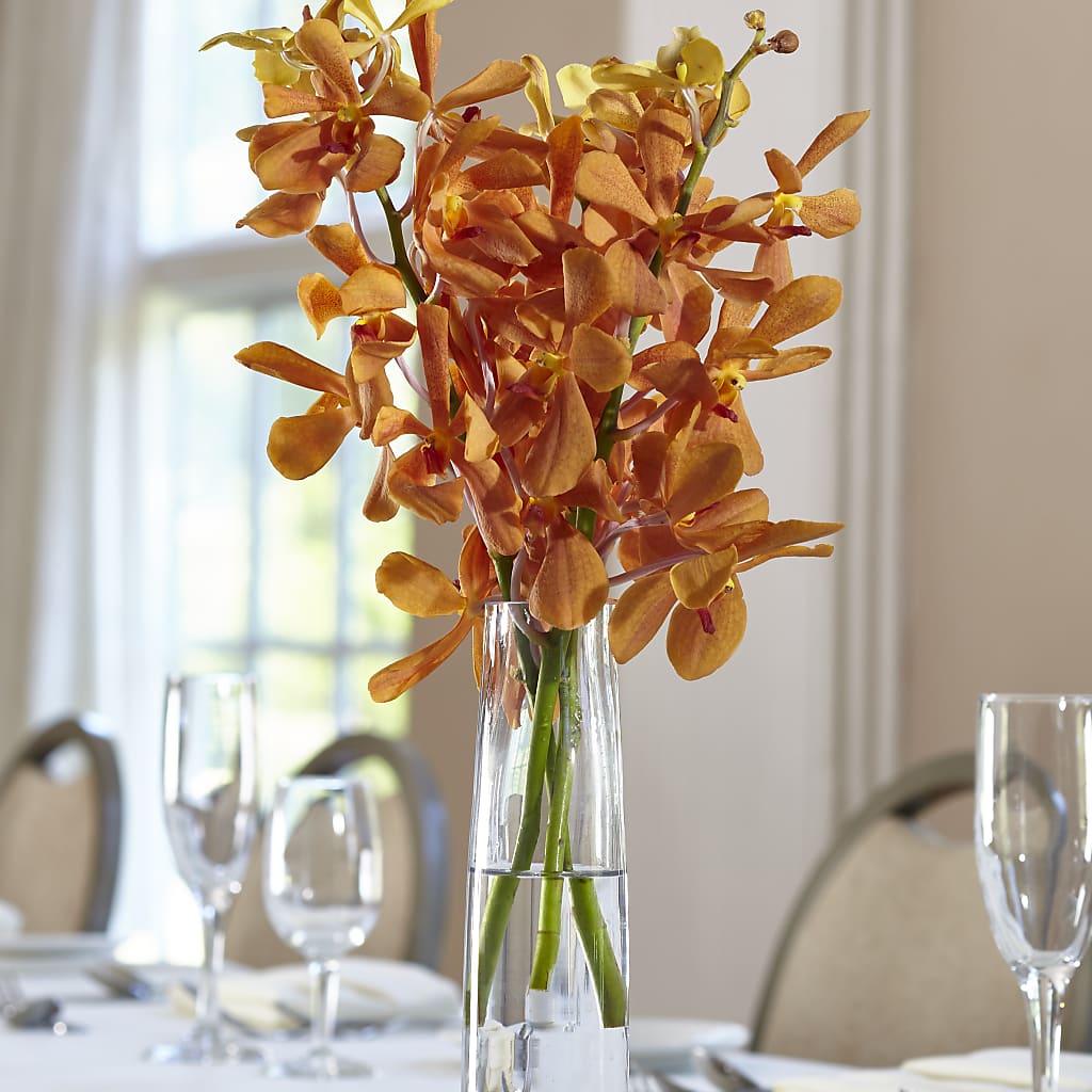 Orange Mokara Bud Vase – Luxe Arrangements, Agawam MA
