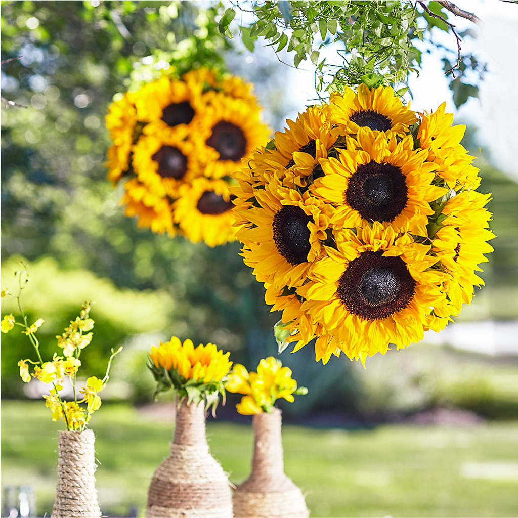 Sublime Garden Hanging Arrangement – Luxe Arrangements, Agawam MA