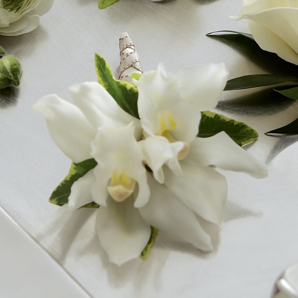 White Mini Cymbidium Boutonniere – Luxe Arrangements, Agawam MA