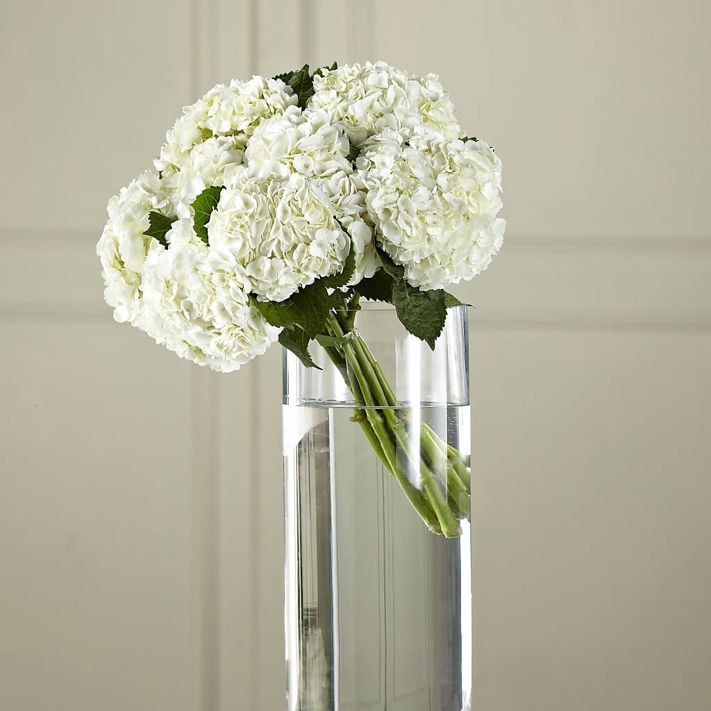 White Hydrangea Hand-Tied Bouquet – Luxe Arrangements, Agawam MA