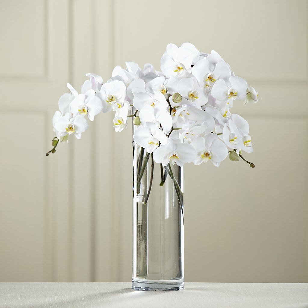 White Phalaenopsis Bouquet – Luxe Arrangements, Agawam MA