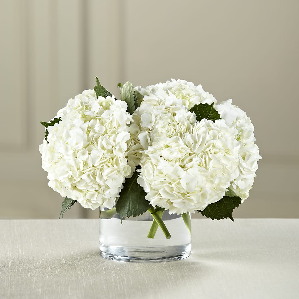 White Hydrangea Bouquet – Luxe Arrangements, Agawam MA