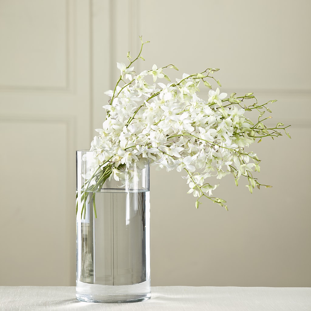 White Dendrobium Bouquet – Luxe Arrangements, Agawam MA