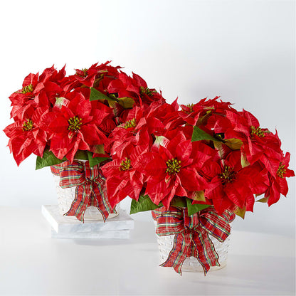 Happiest Holidays Poinsettia Bundle –  Luxe Arrangements, Agawam MA