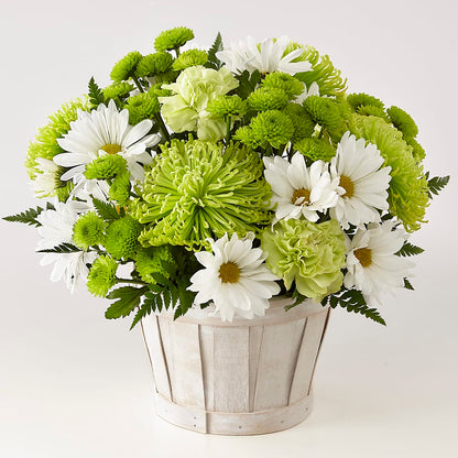 Lucky Charm Basket (Standard) –  Luxe Arrangements, Agawam MA