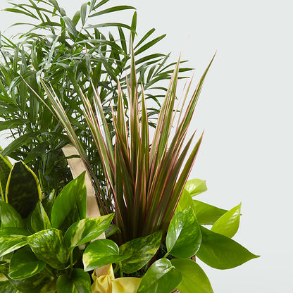 French Garden –  Luxe Arrangements, Agawam MA