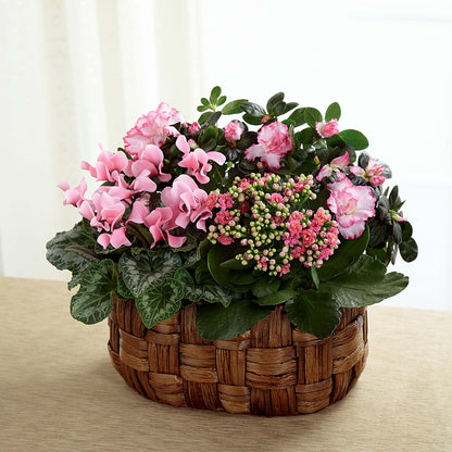 Pink Assortment –  Luxe Arrangements, Agawam MA