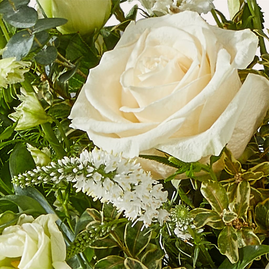 Cashmere Bouquet –  Luxe Arrangements, Agawam MA