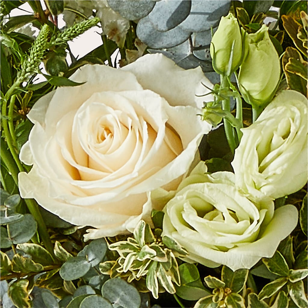 Cashmere Bouquet –  Luxe Arrangements, Agawam MA