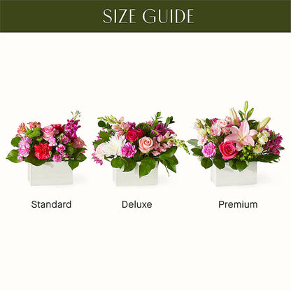 Sweetberry Box – A Florist Original –  Luxe Arrangements, Agawam MA