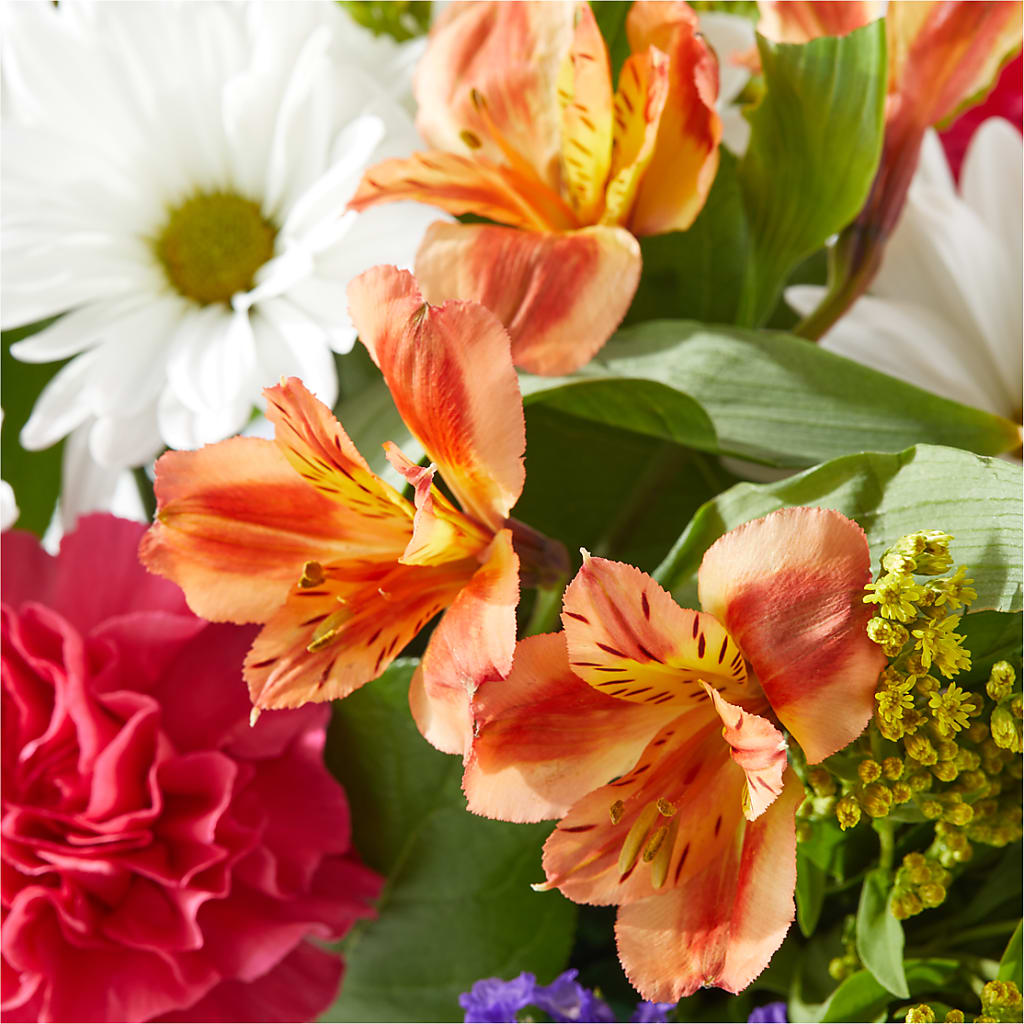 Oopsie Daisy Box Bouquet –  Luxe Arrangements, Agawam MA