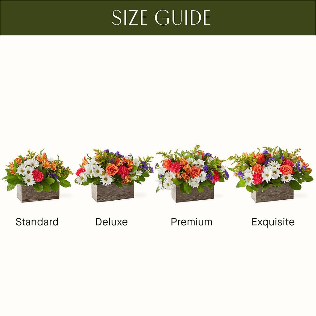 Oopsie Daisy Box Bouquet –  Luxe Arrangements, Agawam MA