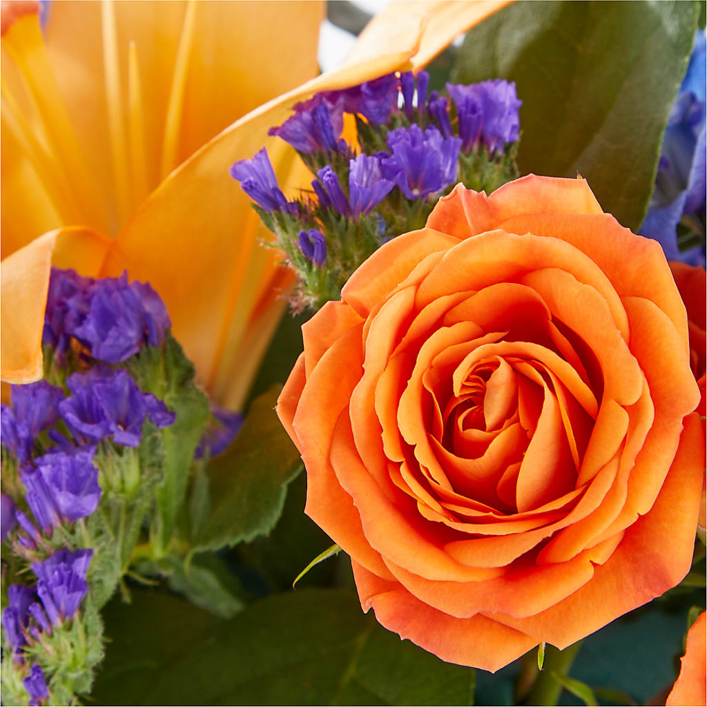 Radiant Citrus Box Bouquet –  Luxe Arrangements, Agawam MA