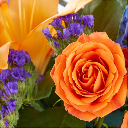 Radiant Citrus Box Bouquet –  Luxe Arrangements, Agawam MA