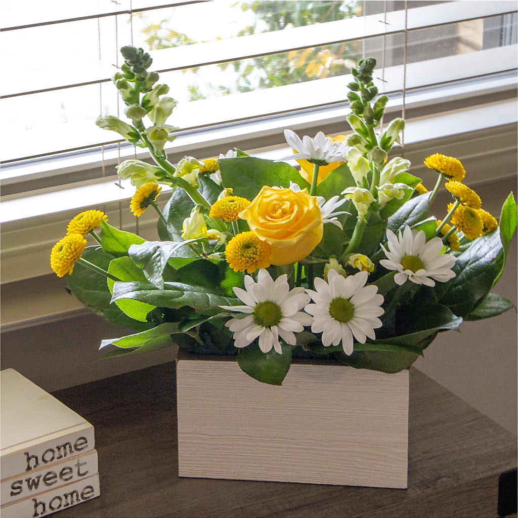 Sun Salutation Box Bouquet –  Luxe Arrangements, Agawam MA