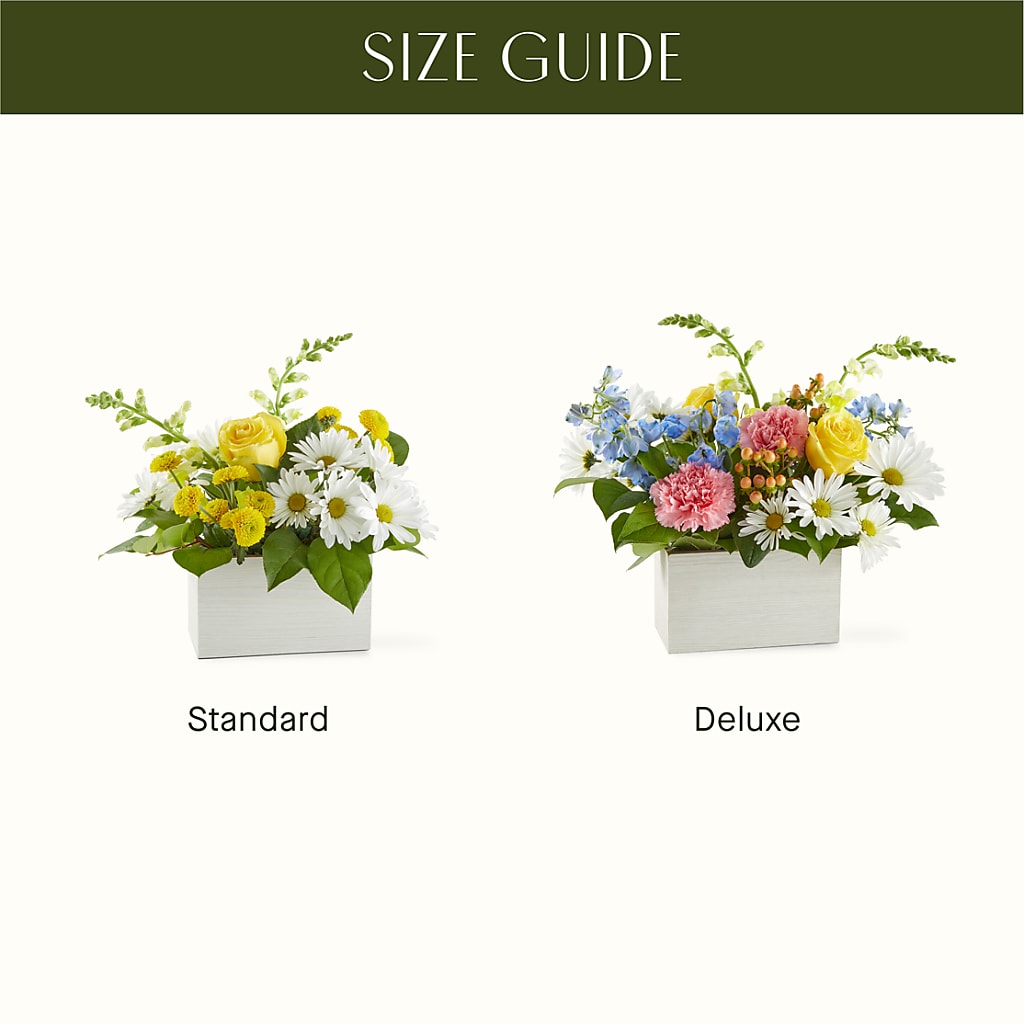 Sun Salutation Box Bouquet –  Luxe Arrangements, Agawam MA