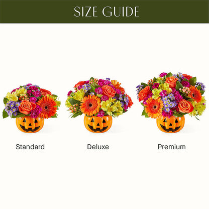 Tricks & Treats Pumpkin –  Luxe Arrangements, Agawam MA