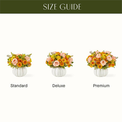 Peachy Pumpkin –  Luxe Arrangements, Agawam MA
