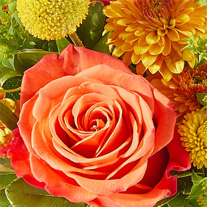 Gourdgeous Pumpkin –  Luxe Arrangements, Agawam MA