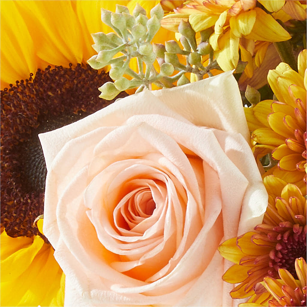Pumpkin to Talk About Bouquet –  Luxe Arrangements, Agawam MA