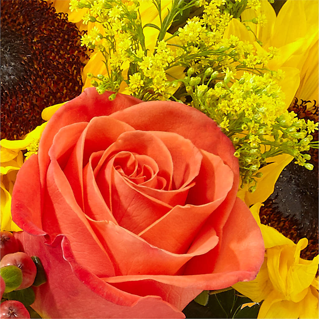 Pick of the Patch Pumpkin Bouquet –  Luxe Arrangements, Agawam MA