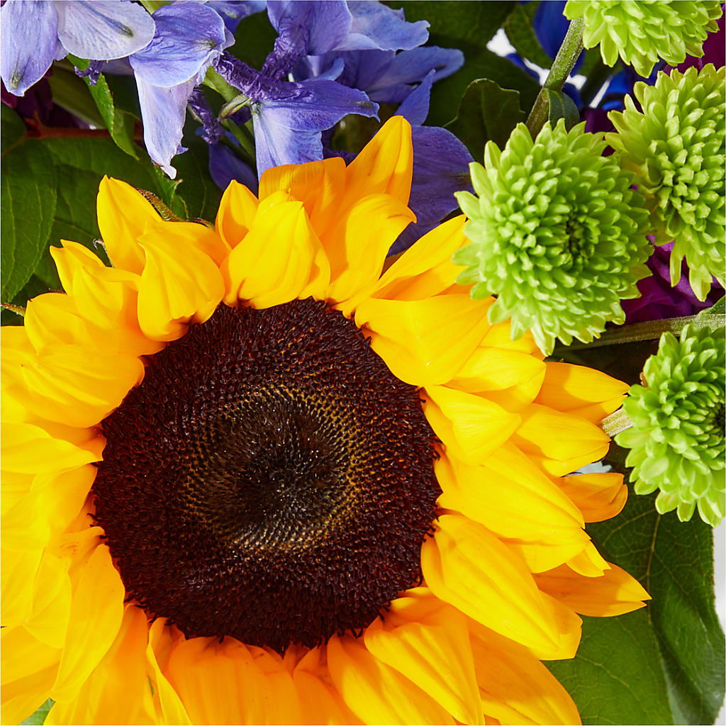 Catching Rays Bouquet –  Luxe Arrangements, Agawam MA