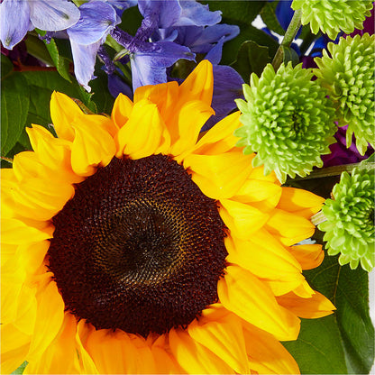Catching Rays Bouquet –  Luxe Arrangements, Agawam MA