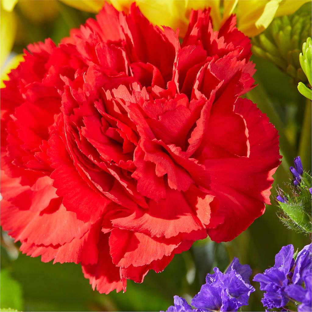 Brighter Days Bouquet –  Luxe Arrangements, Agawam MA