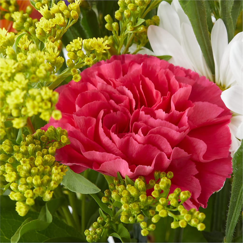 Oopsie Daisy Bouquet –  Luxe Arrangements, Agawam MA