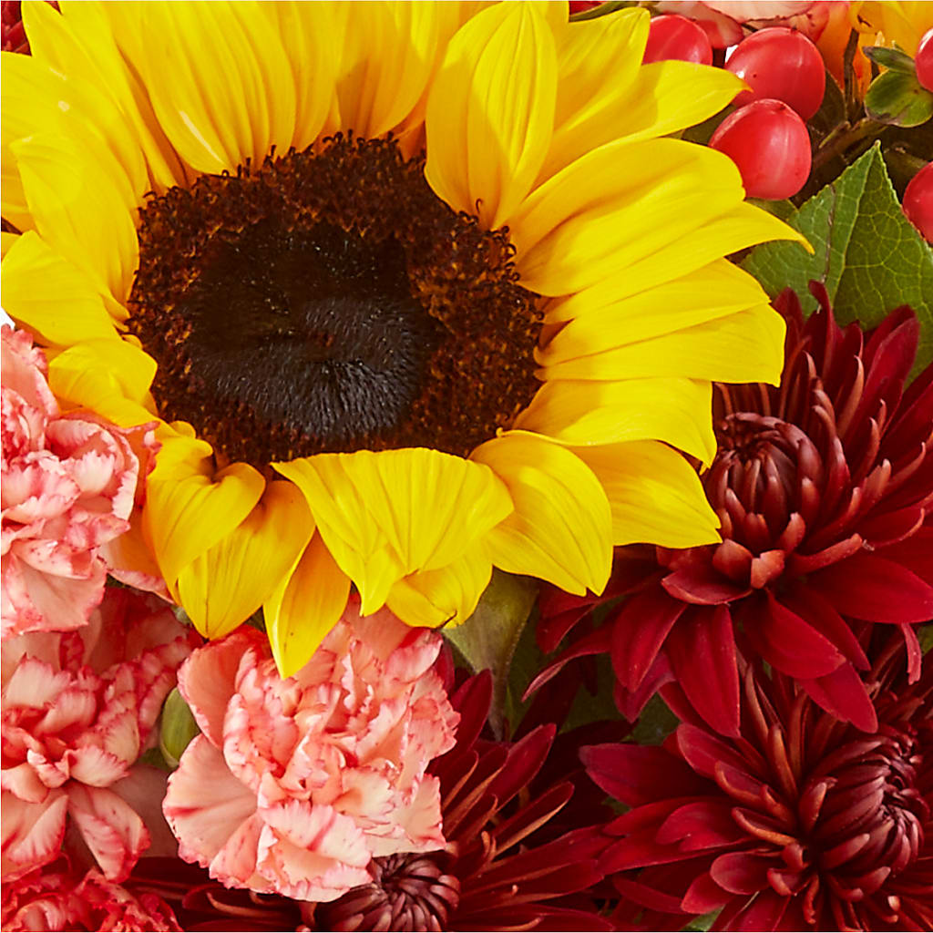 Fresh Cider Bouquet –  Luxe Arrangements, Agawam MA