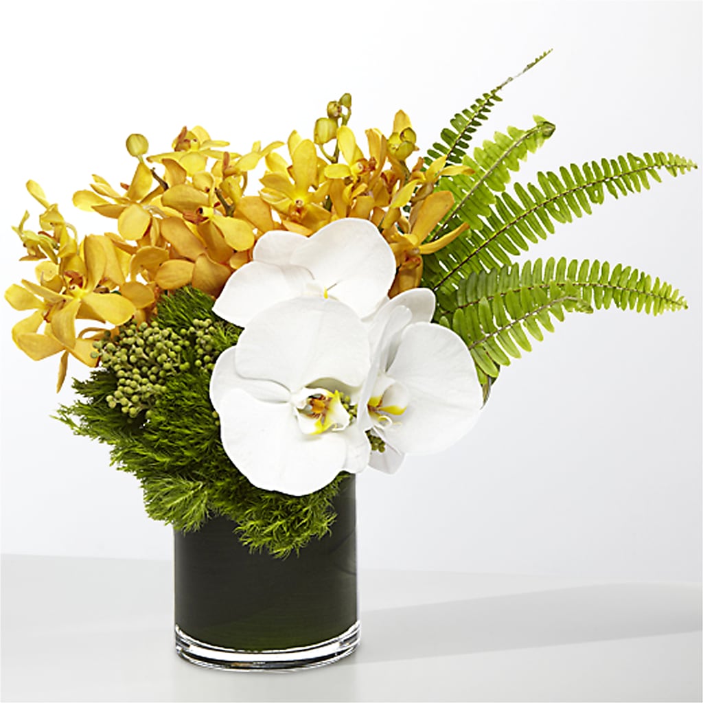 The Tropics –  Luxe Arrangements, Agawam MA