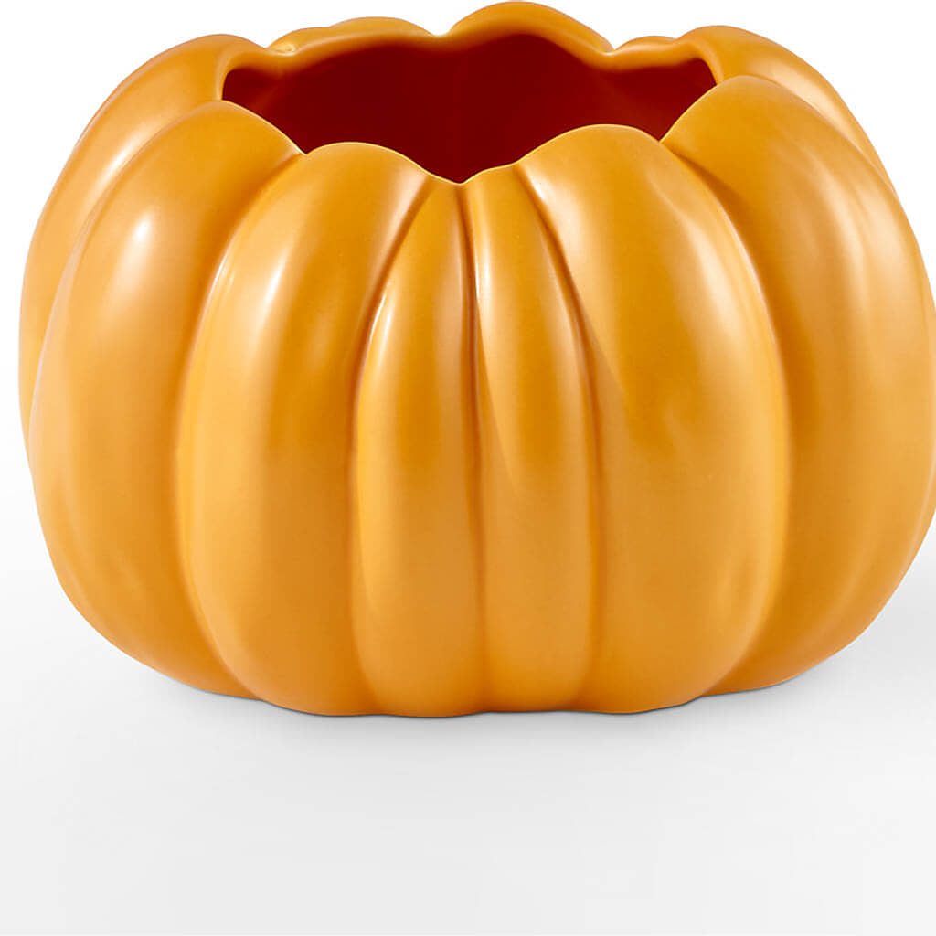 Pick of the Patch Pumpkin Bouquet –  Luxe Arrangements, Agawam MA