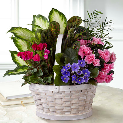 Peaceful Garden Planter –  Luxe Arrangements, Agawam MA