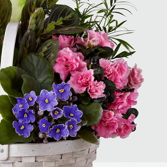Peaceful Garden Planter –  Luxe Arrangements, Agawam MA