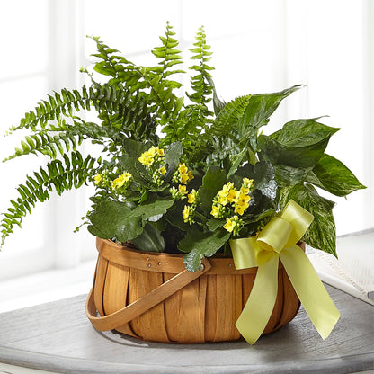 Always Dear Dishgarden –  Luxe Arrangements, Agawam MA