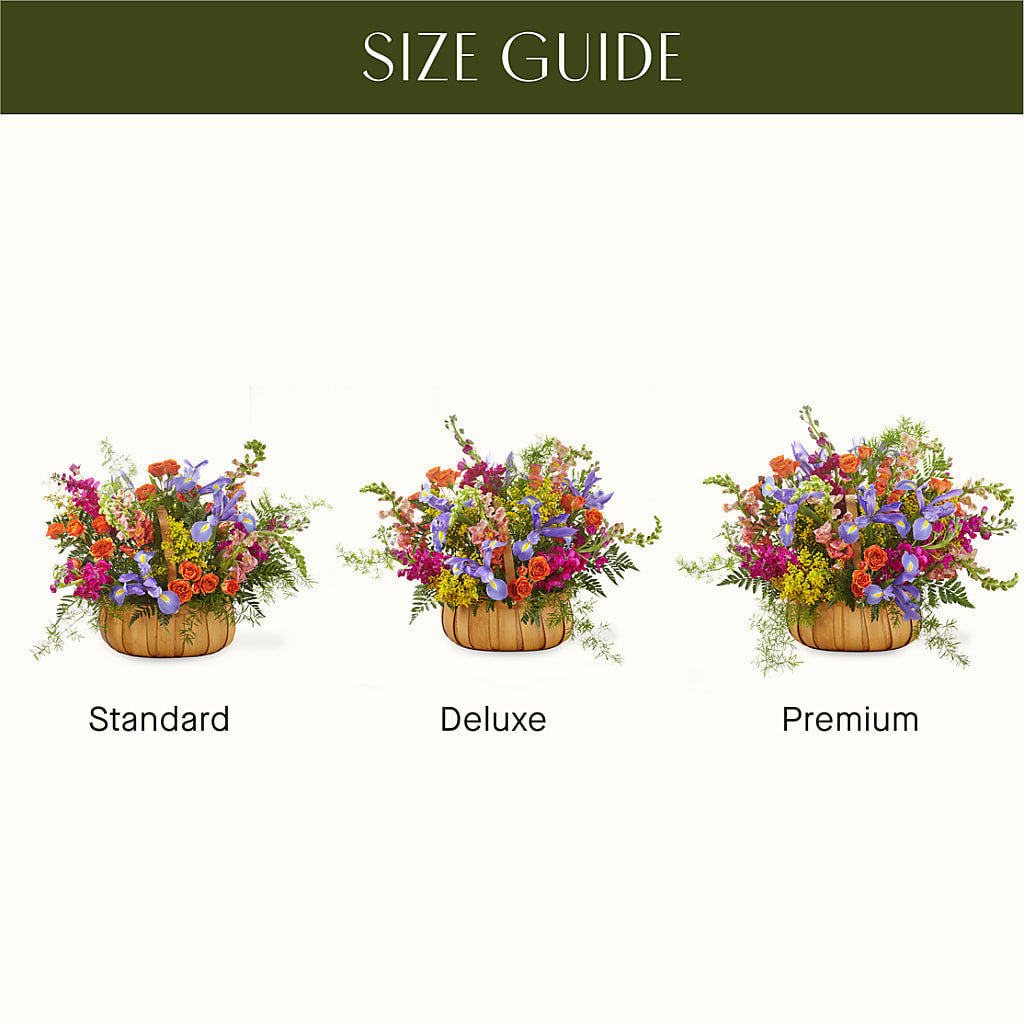 Garden of Life Basket –  Luxe Arrangements, Agawam MA