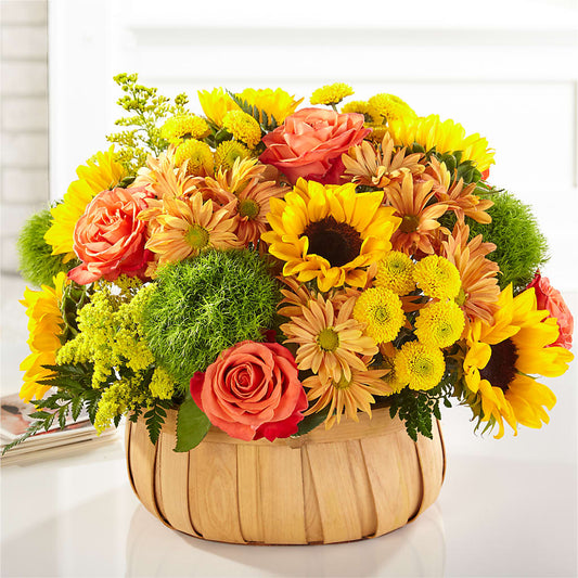 Harvest Sunflower Basket –  Luxe Arrangements, Agawam MA