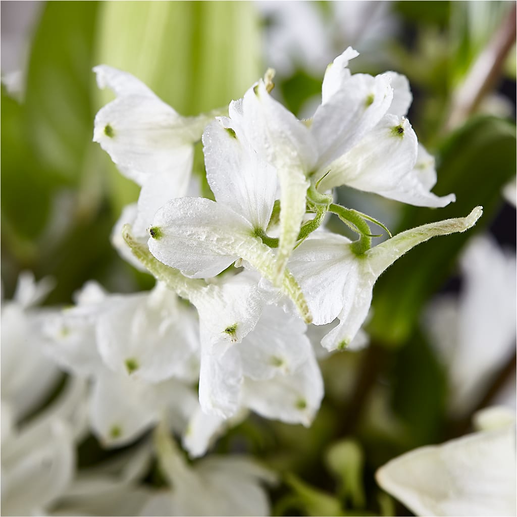 Classic Ivory – A Florist Original –  Luxe Arrangements, Agawam MA