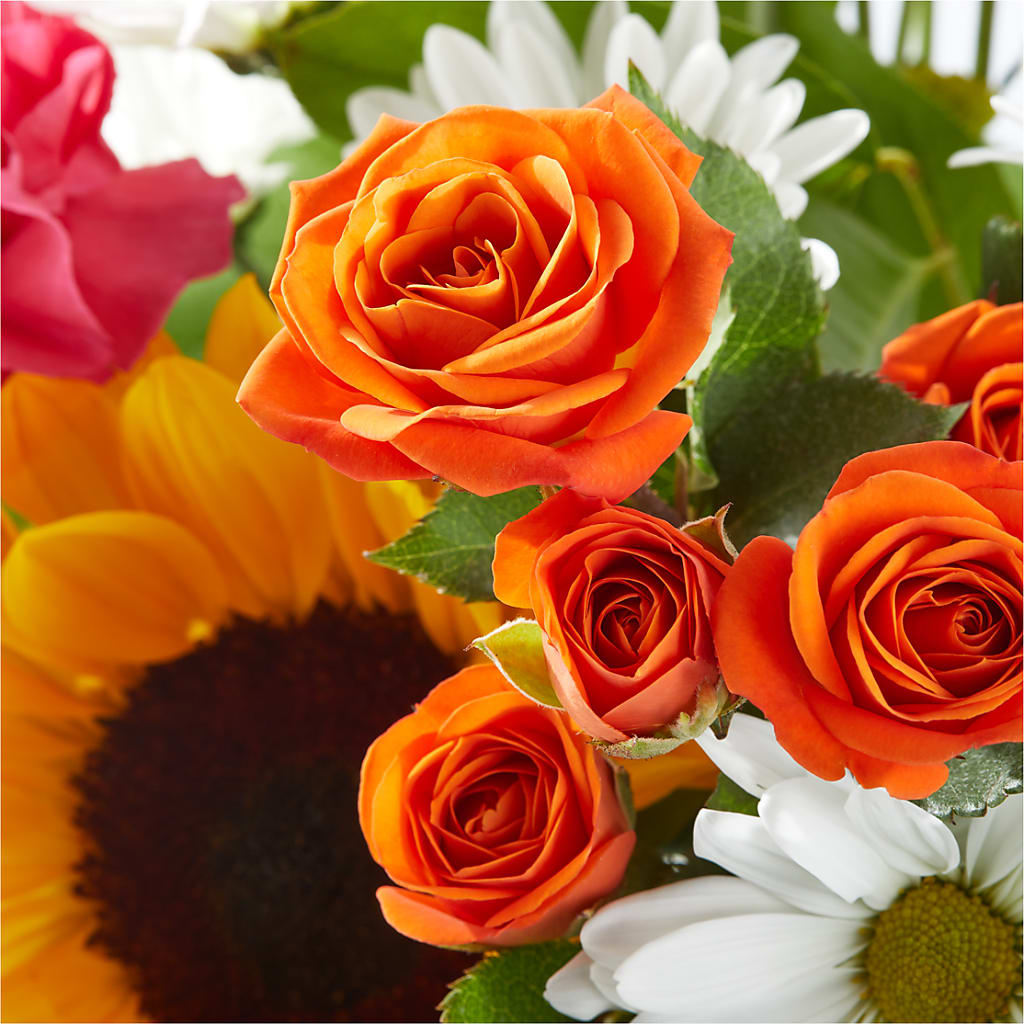 Sun-drenched Blooms Bouquet –  Luxe Arrangements, Agawam MA